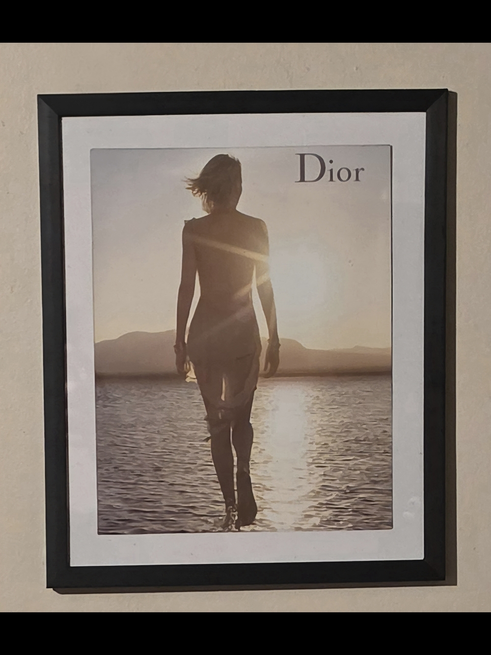 Dior And Charlize Theron In Desert Sunset Silhouette Poster - Black Frame 8"×10"